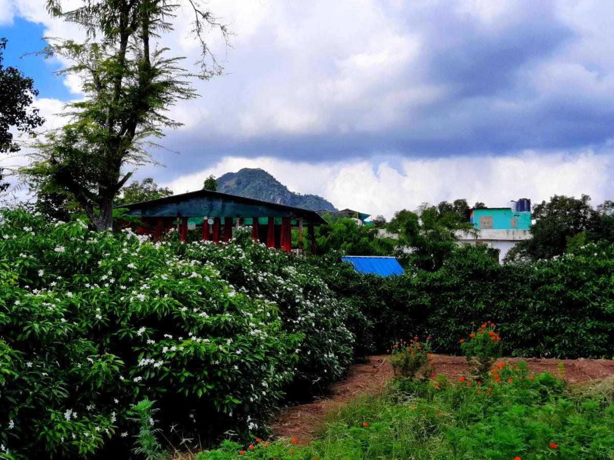 Namaste India Hostel Pushkar Luaran gambar