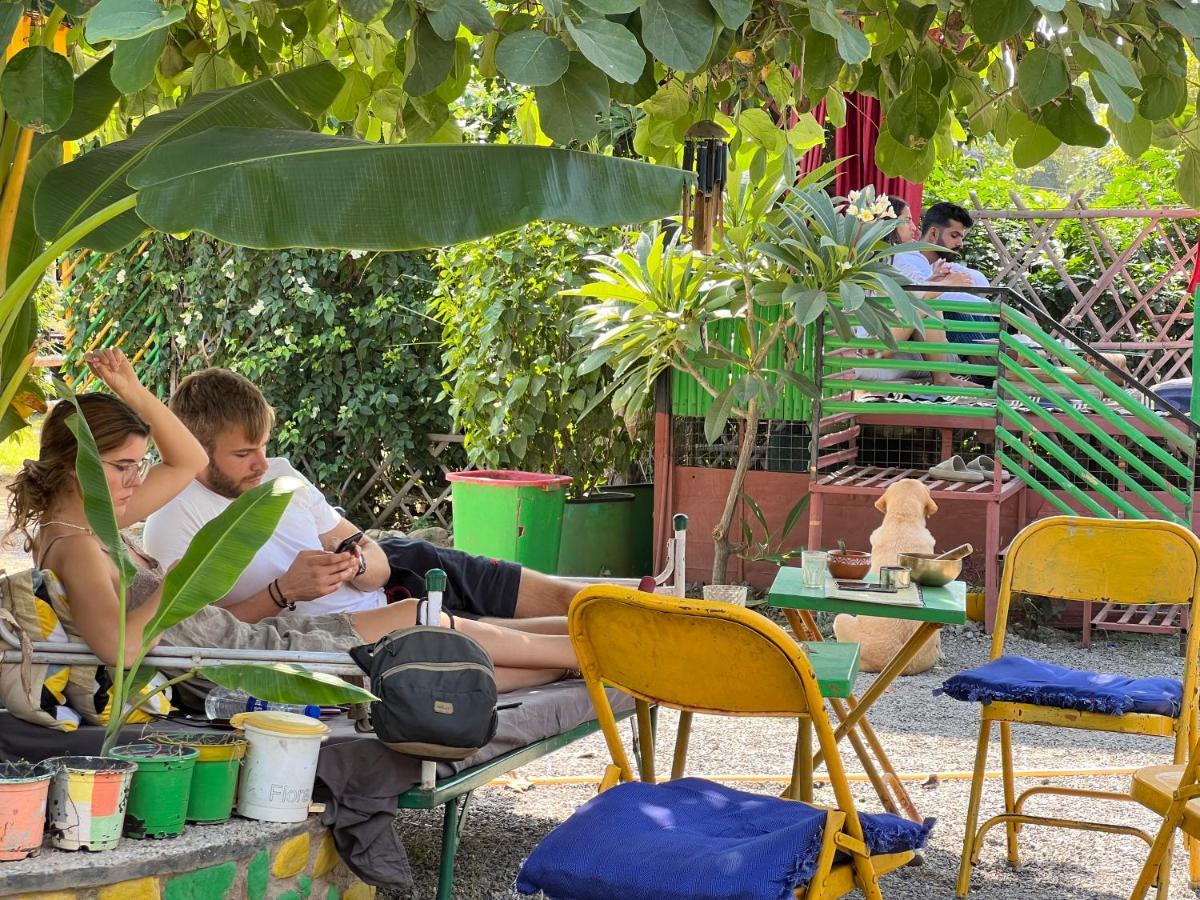 Namaste India Hostel Pushkar Luaran gambar