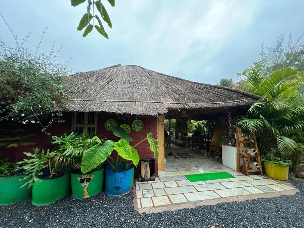Namaste India Hostel Pushkar Luaran gambar